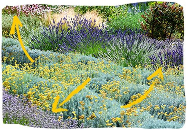 12.000 plantensoorten worden bedreigd.