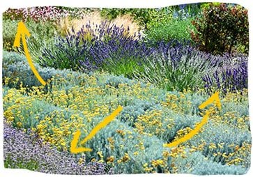 12.000 plantensoorten worden bedreigd.