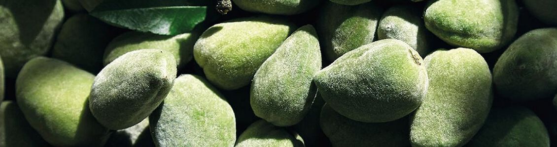 hoe kom je van cellulitis af