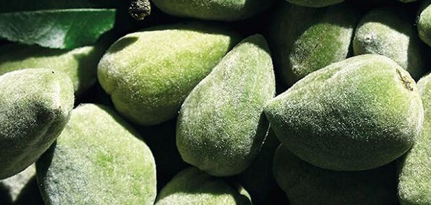 hoe kom je van cellulitis af