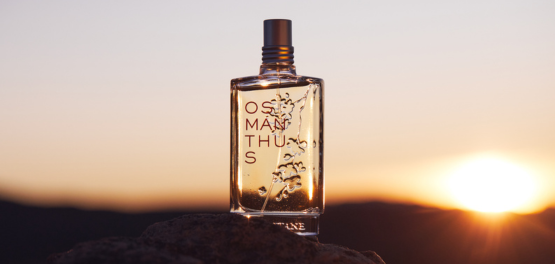 4. Hydrateer je huid v&oacute;&oacute;r je parfum aanbrengt