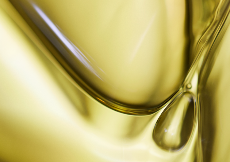 Linzenextract