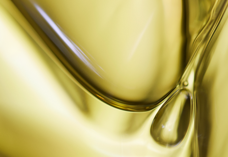 Linzenextract