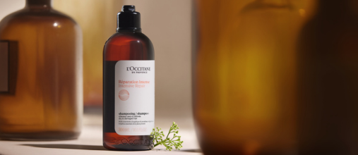 intens herstellende haarverzorging - LOCCITANE hair care collectie voor droog en beschadigd haar