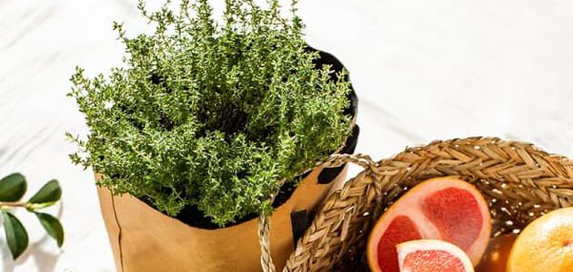 natuurlijke ingredi&euml;nten