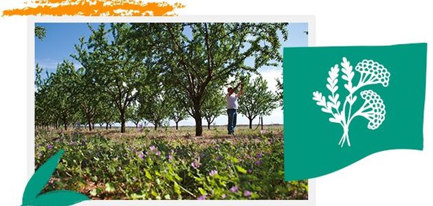 biodiversiteit respecteren