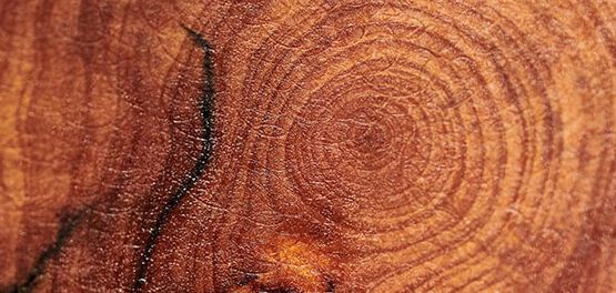 cade hout