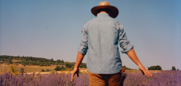 lavendel BOB / AOP Label - kwalitatieve lavendel LOCCITANE