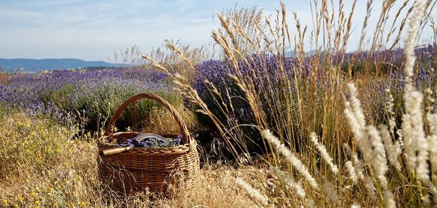ER WAS EENS L'OCCITANE...