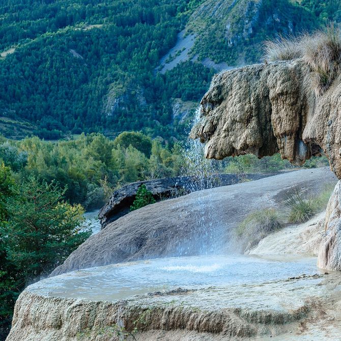 reotier bron