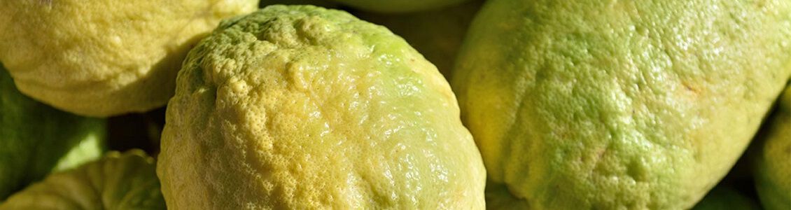 ingredient cedrat