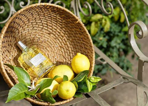 cedrat