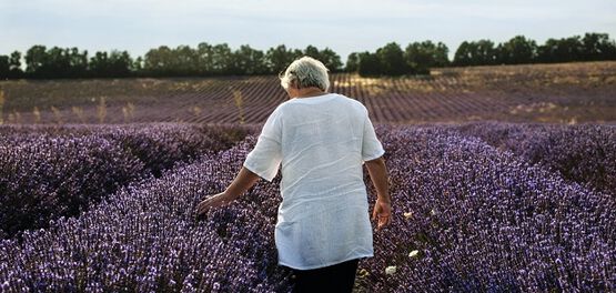 producteurs