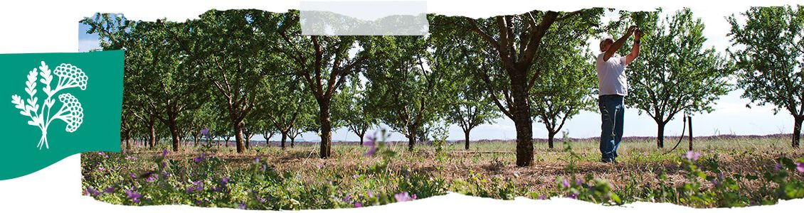 biodiversiteit respecteren