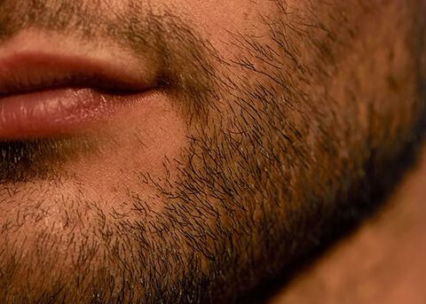 korte baard