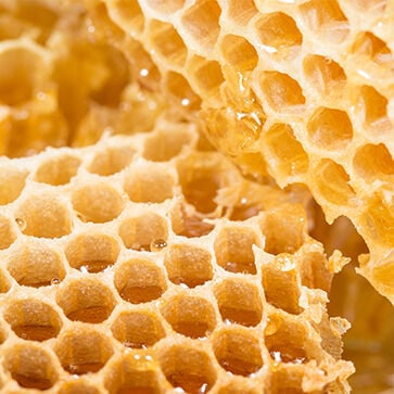 Honing Extract