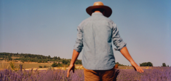 lavendel BOB / AOP Label - kwalitatieve lavendel LOCCITANE