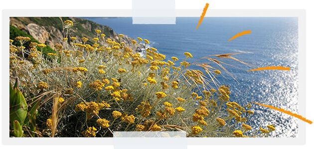 ...om de biodiversiteit van onze grondgebieden te beschermen 