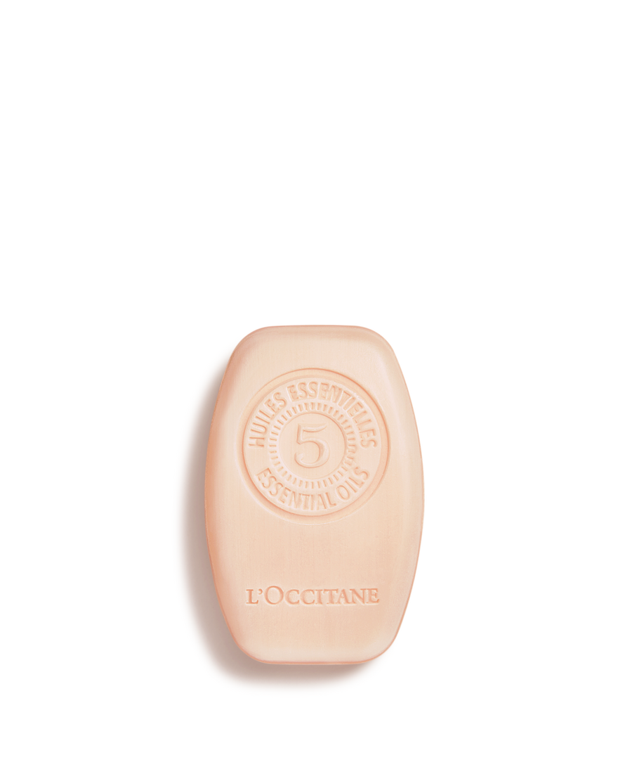 Weergave afbeelding 1/3 van product Aromachology Intens Herstellende Vaste Shampoo, , RECT
