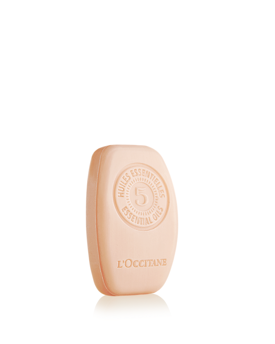Weergave afbeelding 3/3 van product Aromachology Intens Herstellende Vaste Shampoo, , RECT