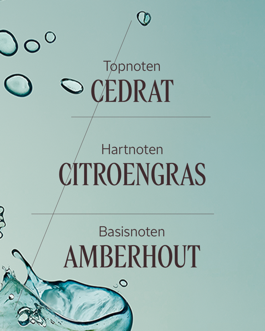 Weergave afbeelding 4/7 van product C&eacute;drat Eau de Toilette, , RECT