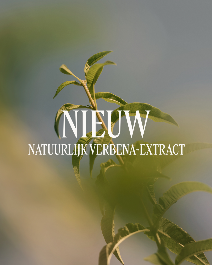 Weergave afbeelding 3/3 van product Parfum Lichaamsmelk verbena, , RECT
