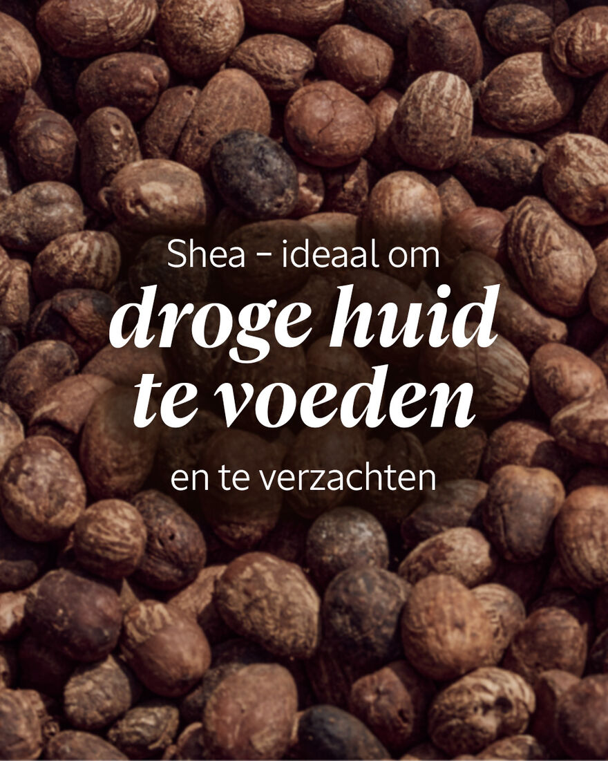 Weergave afbeelding 6/8 van product Shea Reinigende Gezichtscr&egrave;me 125ml, , RECT