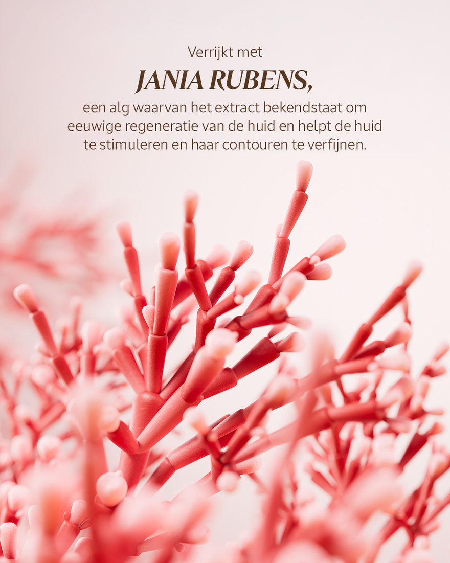 Weergave afbeelding 3/7 van product Immortelle Harmonie Bijzondere Jeugdserum, , RECT