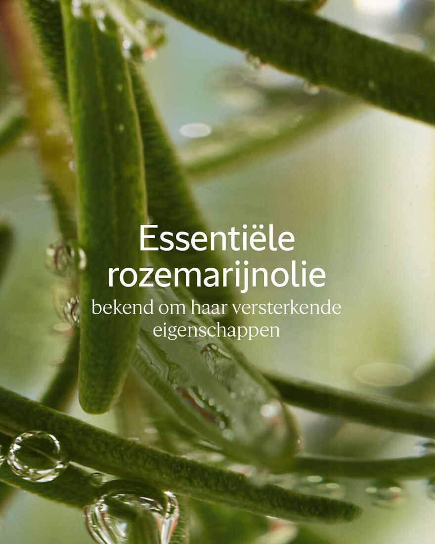Weergave afbeelding 3/3 van product Volume & Kracht Conditioner, , RECT