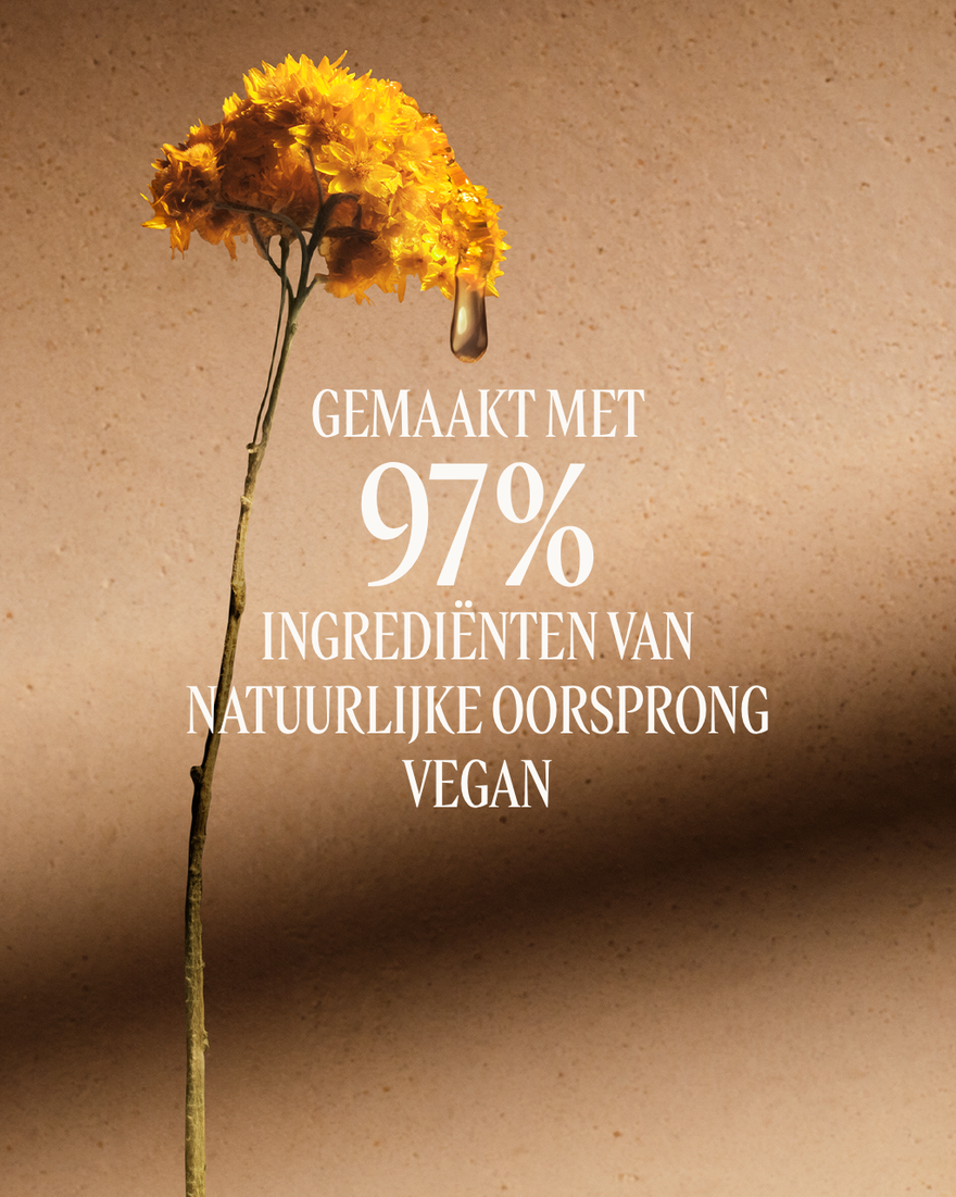 Weergave afbeelding 6/12 van product Immortelle Divine Verstevigende Lichaamsolie, , RECT