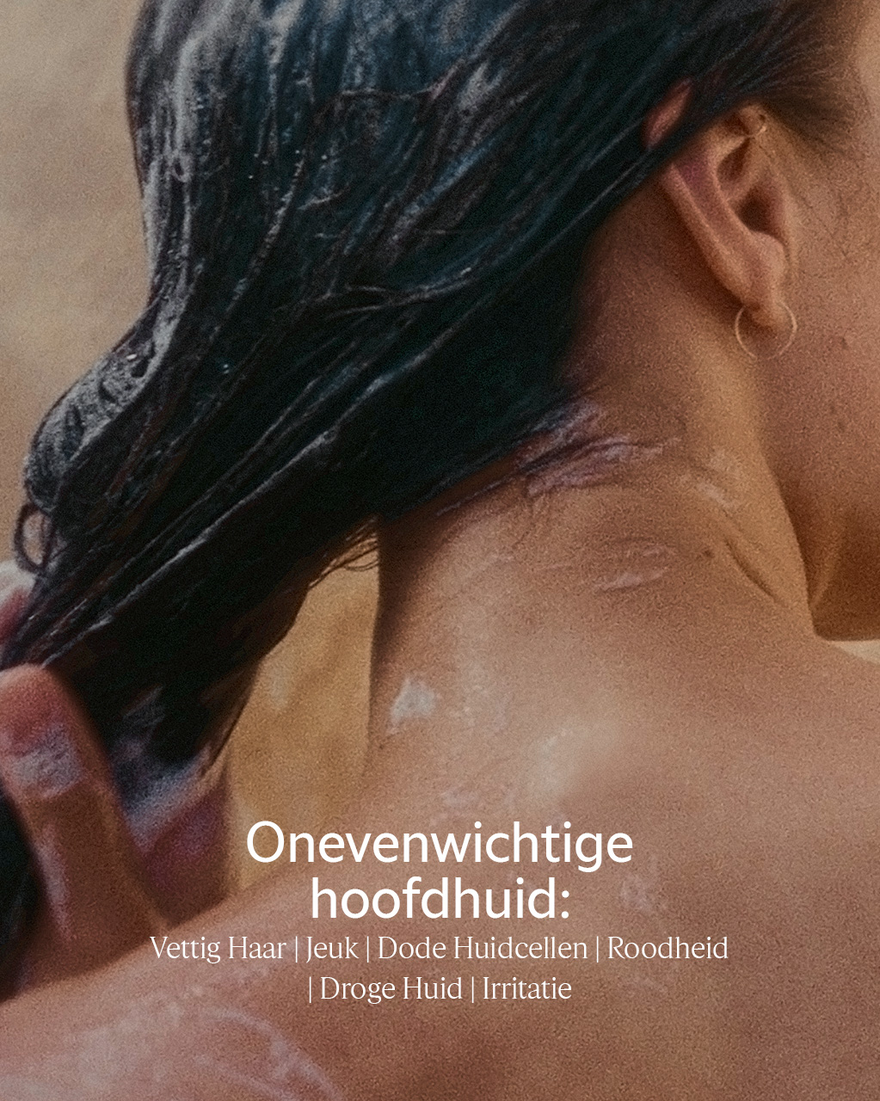 Weergave afbeelding 4/6 van product Refill Aromachology Gentle & Balanced Shampoo, , RECT