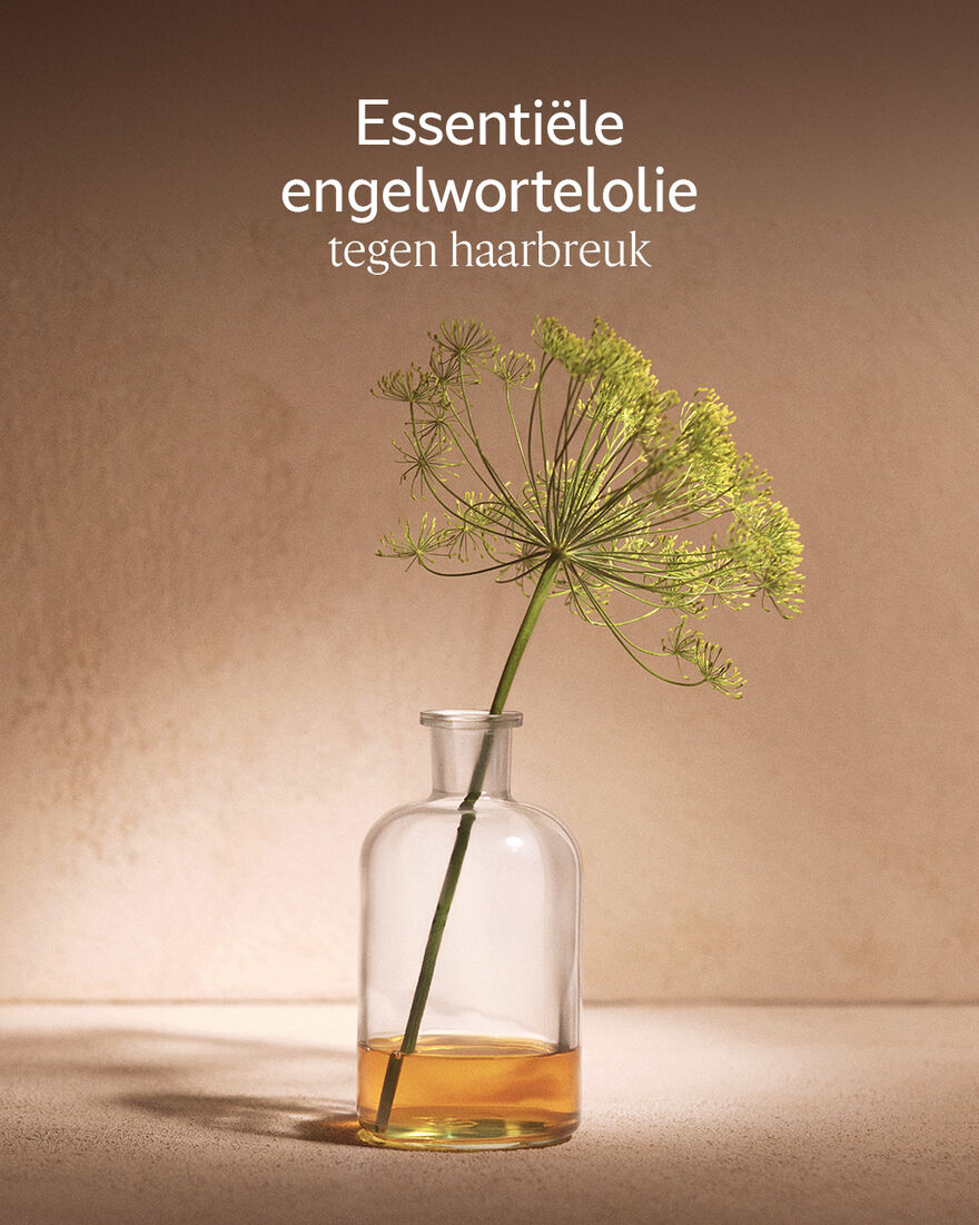 Weergave afbeelding 5/6 van product Aromachology Infused Verrijkte Olie - Intense Herstelling, , RECT