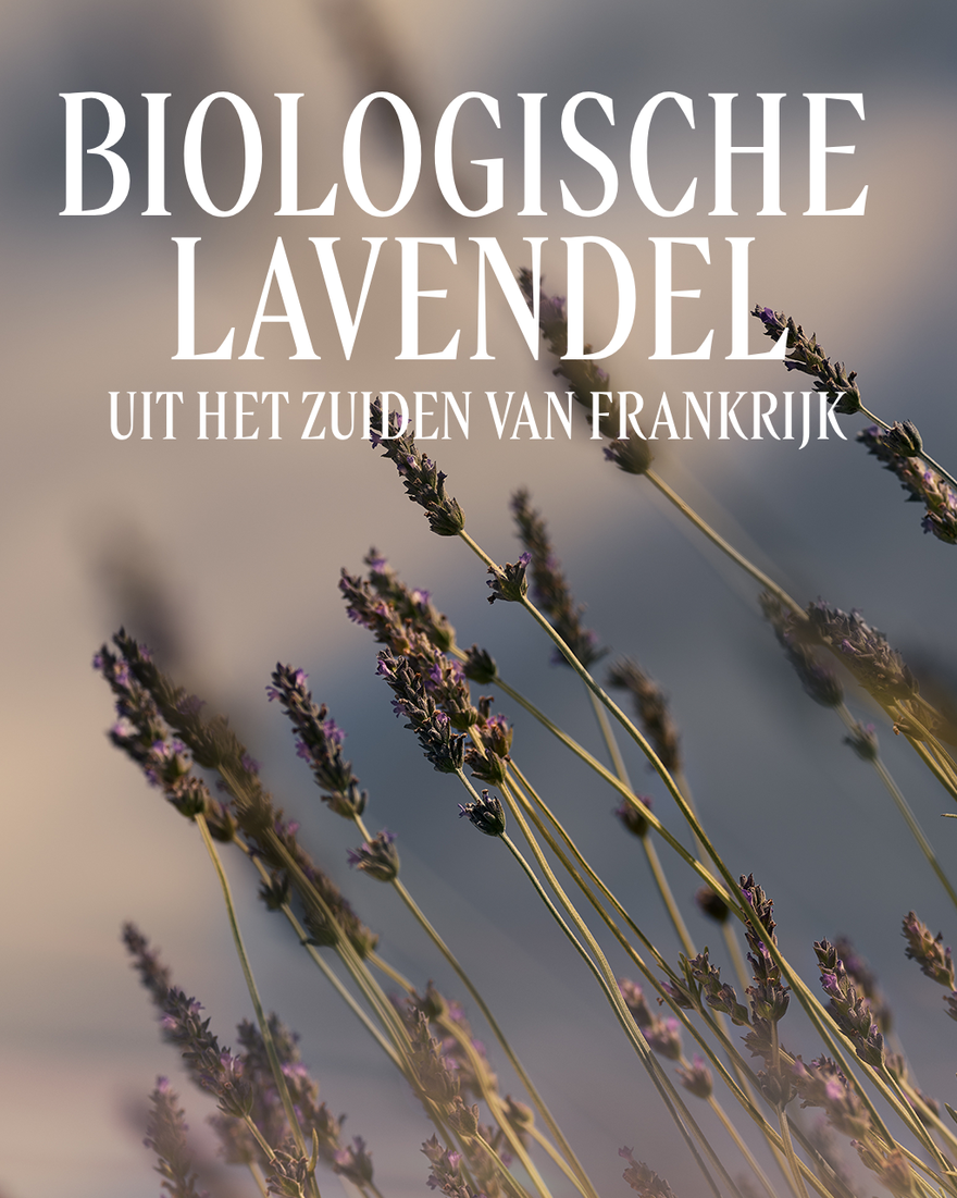 Weergave afbeelding 3/3 van product Lavande Douchegel, , RECT