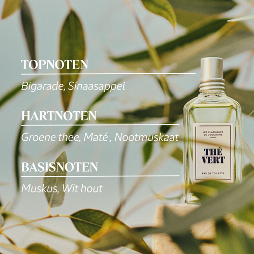 L'Occitane THE VERT Eau de Toilette 1.7oz/50ml~Spray.SEE