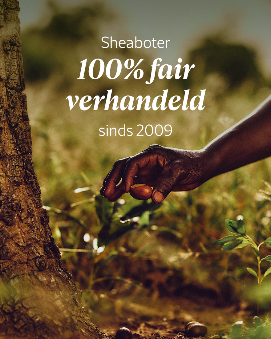 Weergave afbeelding 5/6 van product Shea Bi-fase Gezichtsserum, , RECT