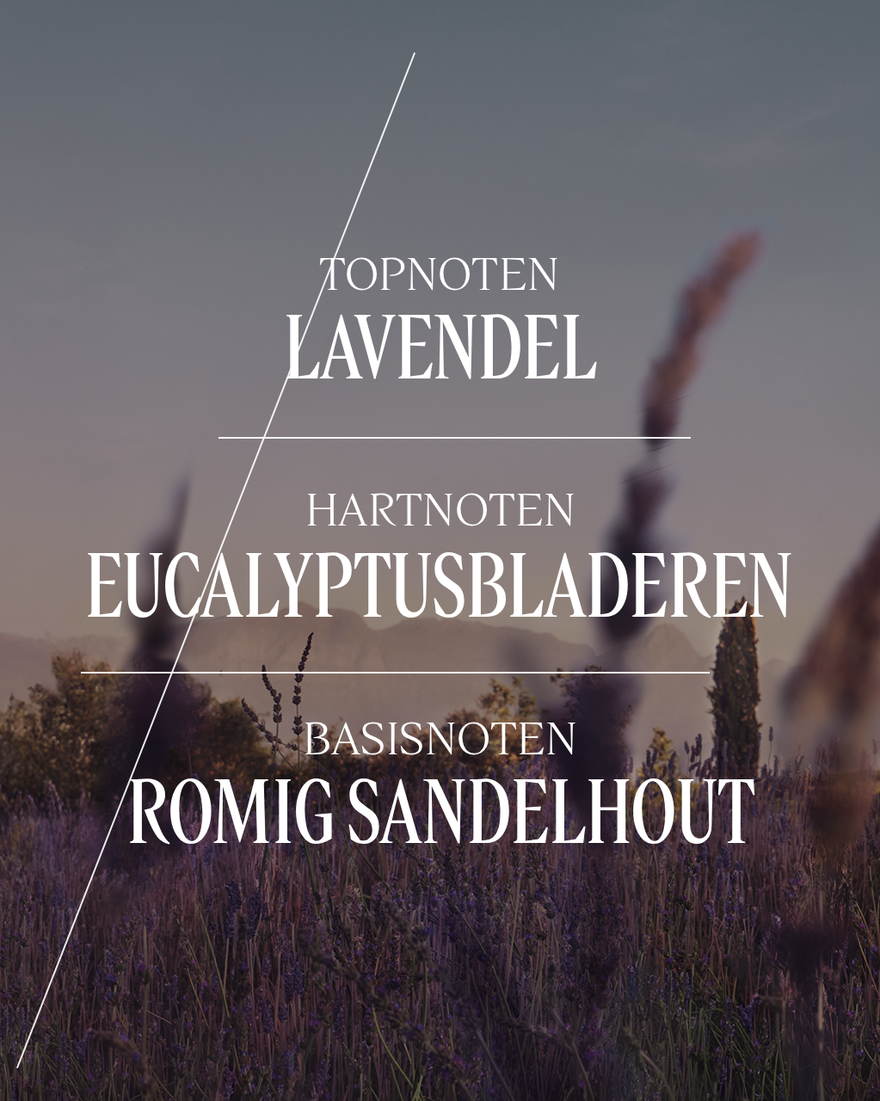 Weergave afbeelding 5/8 van product Lavande Eau de Toilette, , RECT