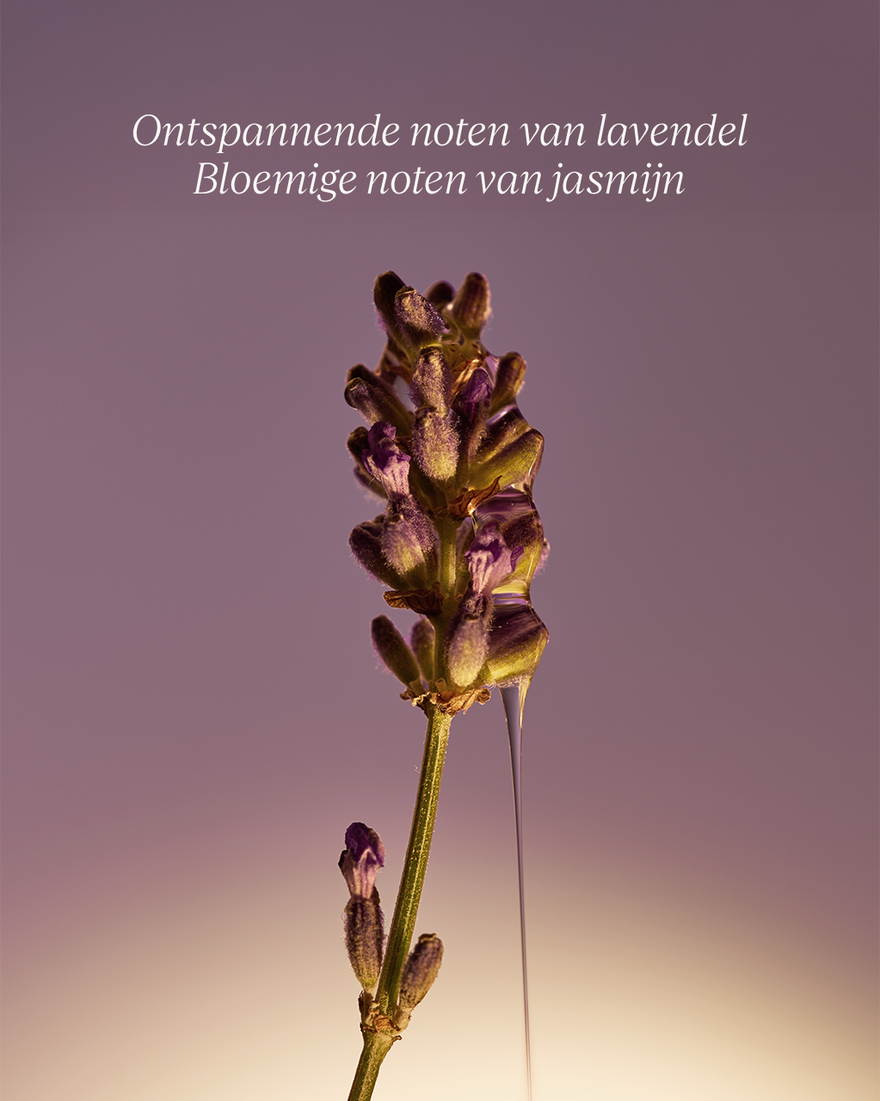 Weergave afbeelding 6/7 van product Refill Lavender Vloeibare Handzeep, , RECT