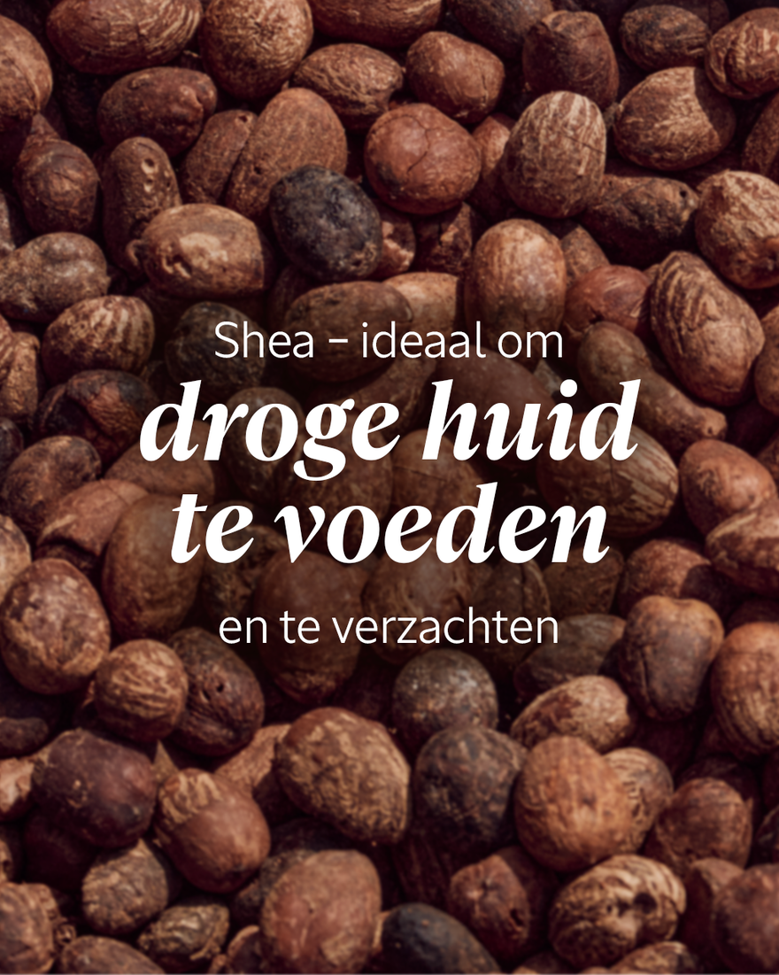 Weergave afbeelding 4/6 van product Shea Bi-fase Gezichtsserum, , RECT