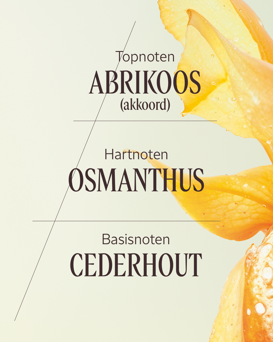 Weergave afbeelding 4/7 van product Osmanthus Abricot Eau de Toilette, , RECT