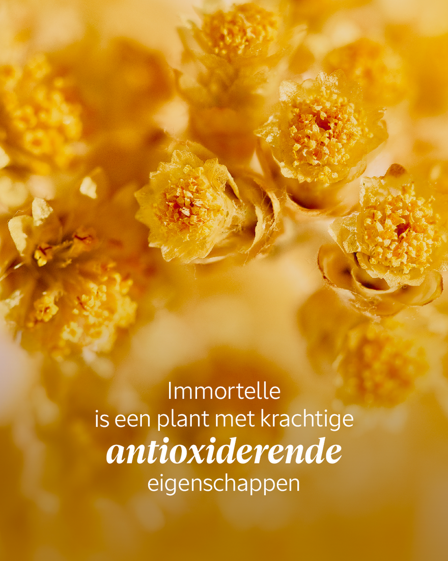 Weergave afbeelding 3/6 van product Immortelle Precious Oogbalsem, , RECT