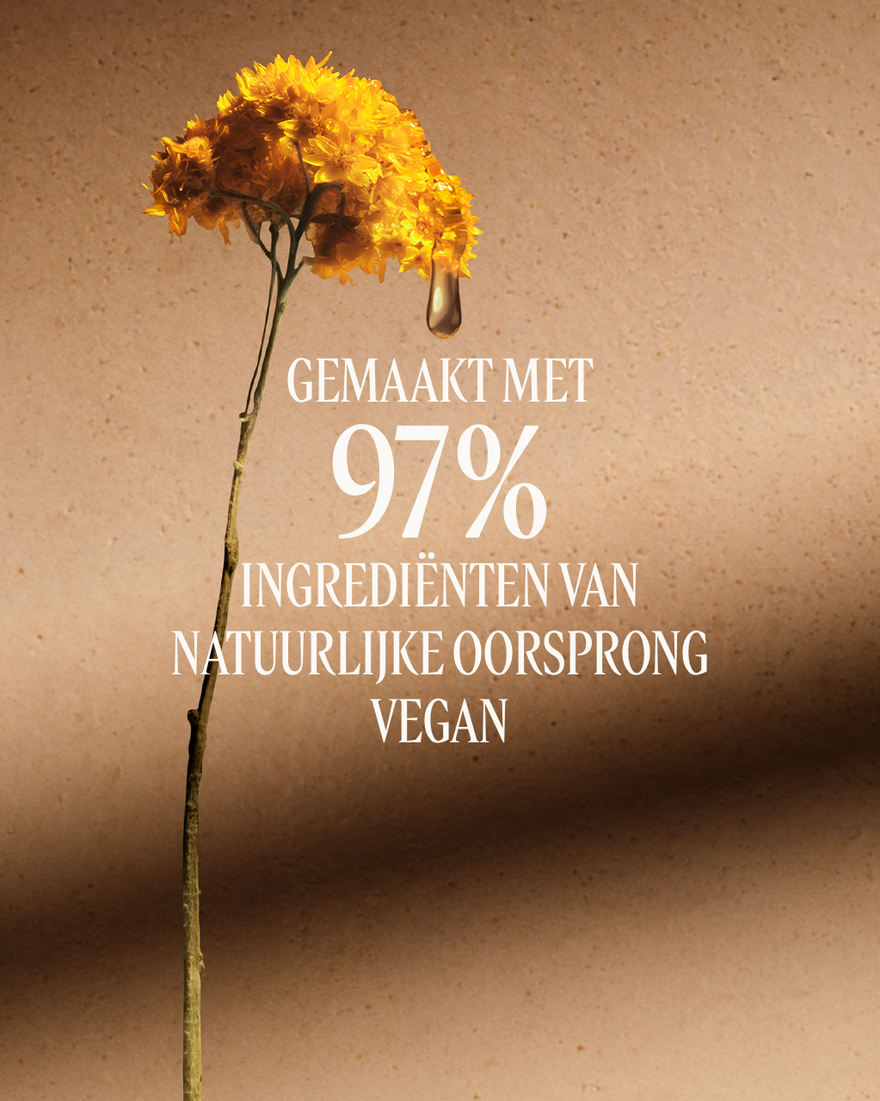 Weergave afbeelding 6/11 van product Immortelle Divine Verjongende Lichaamsbalsem, , RECT
