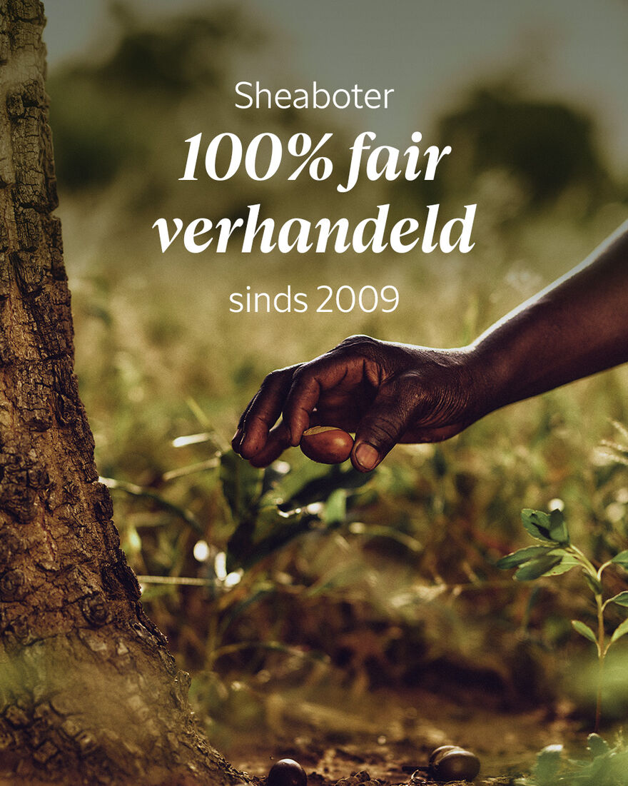 Weergave afbeelding 7/8 van product Shea Reinigende Gezichtscr&egrave;me 125ml, , RECT